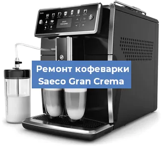 Чистка кофемашины Saeco Gran Crema от кофейных масел в Санкт-Петербурге